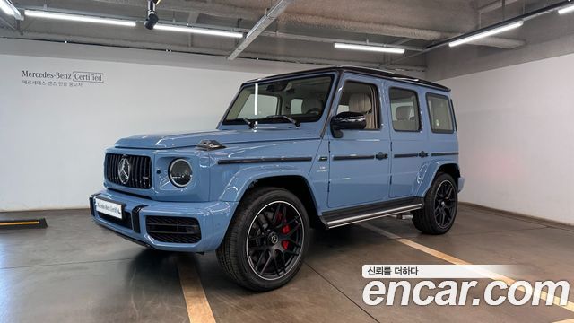 Mercedes-Benz G-Class W463b