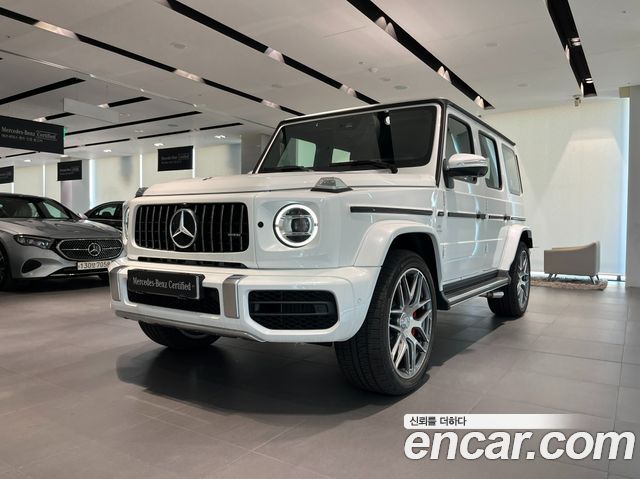 Mercedes-Benz G-Class W463b