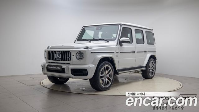 Mercedes-Benz G-Class W463b