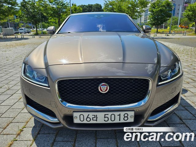 Jaguar XF (X260)