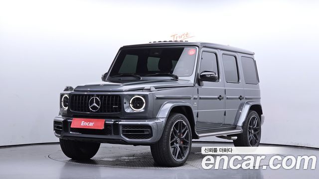 Mercedes-Benz G-Class W463b