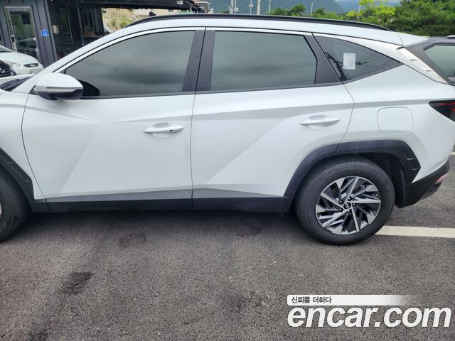 Hyundai Tucson (NX4)