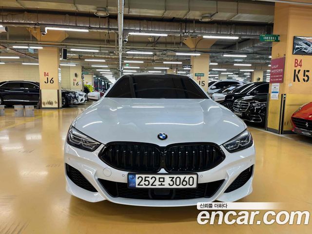 BMW 8 Series (G15)