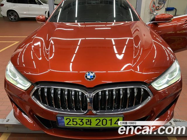 BMW 8 Series (G15)