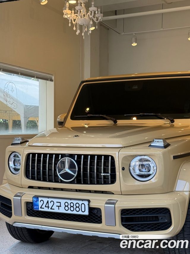 Mercedes-Benz G-Class W463b