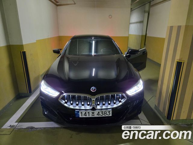 BMW 8 Series (G15)