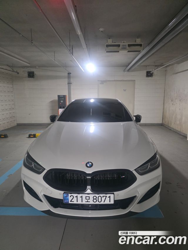 BMW 8 Series (G15)