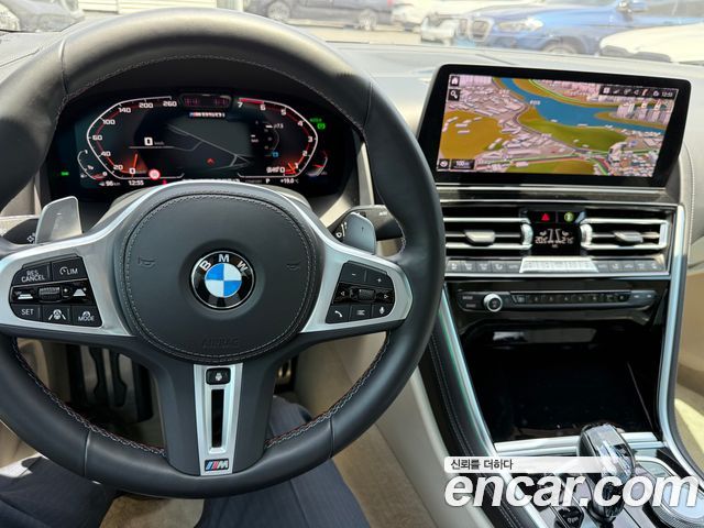 BMW 8 Series (G15)