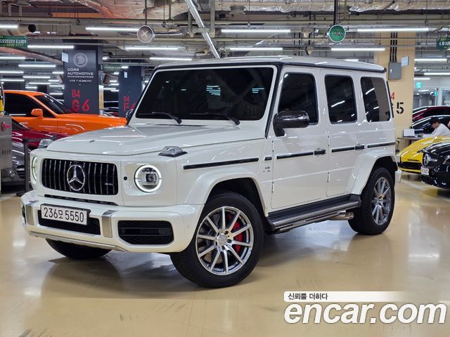 Mercedes-Benz G-Class W463b