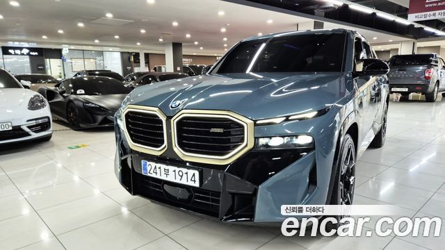 BMW XM (G09)