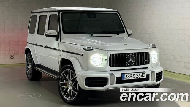 Mercedes-Benz G-Class W463b