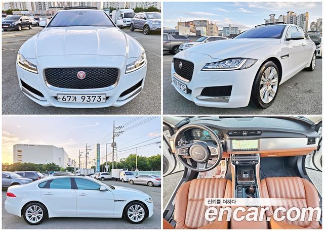Jaguar XF (X260)