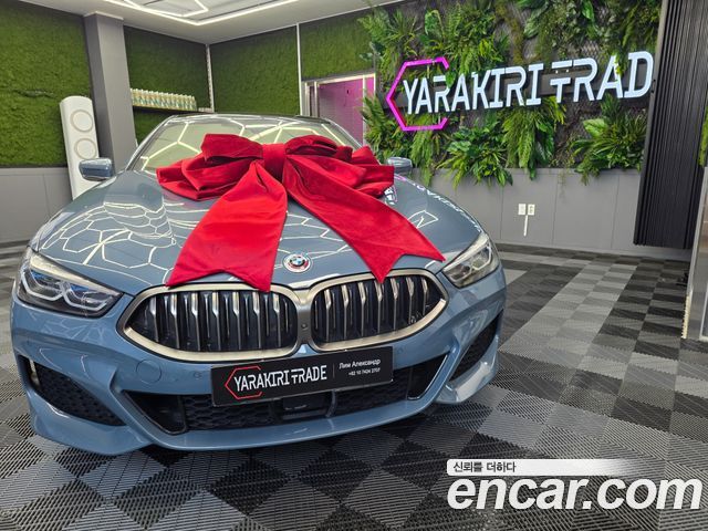 BMW 8 Series (G15)