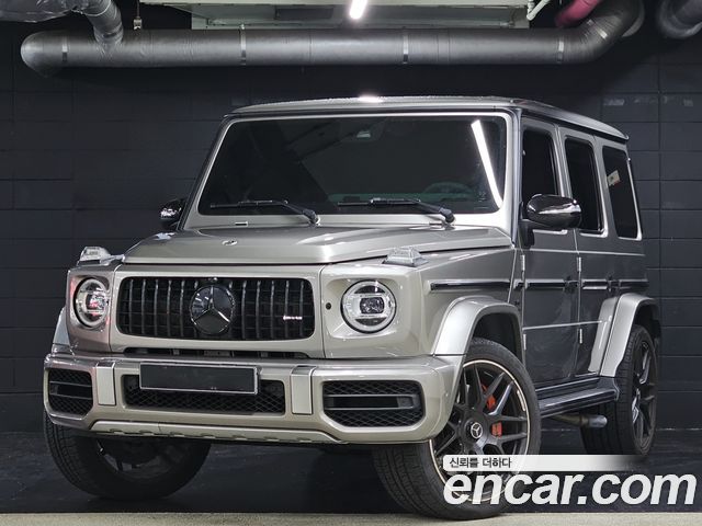 Mercedes-Benz G-Class W463b