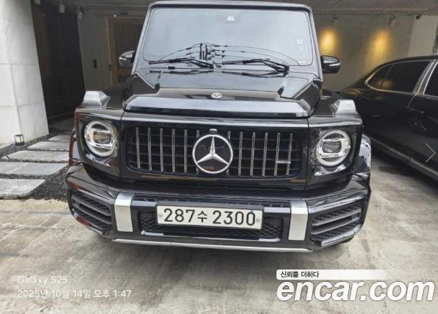 Mercedes-Benz G-Class W463b