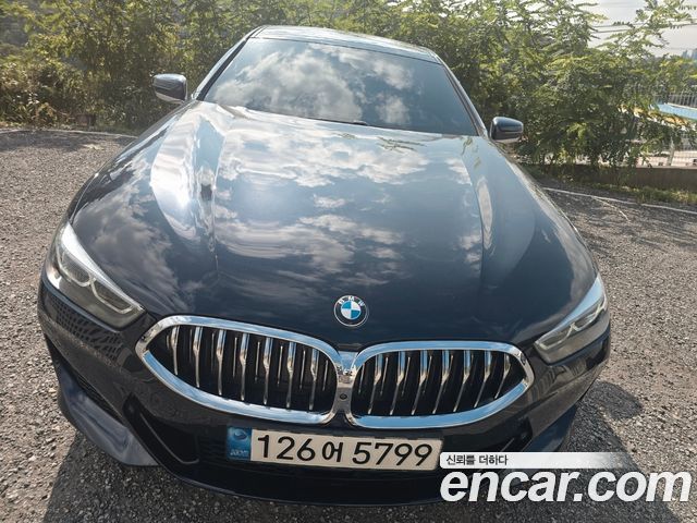 BMW 8 Series (G15)