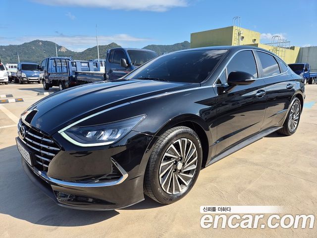 Hyundai Sonata Hybrid (DN8)