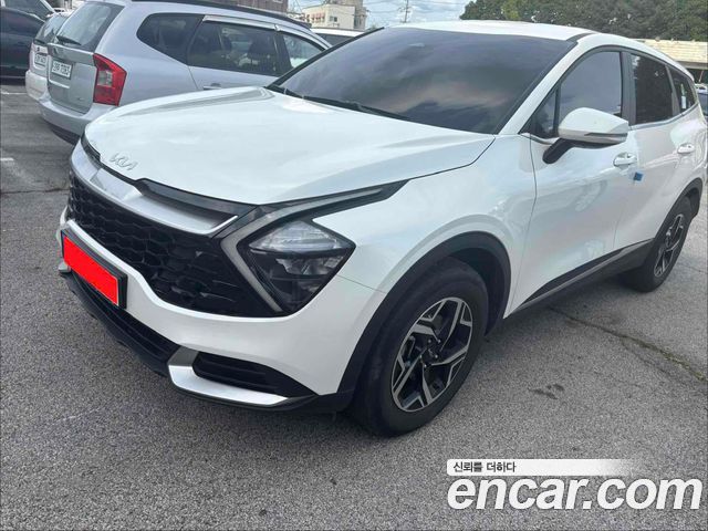 Kia Sportage 5th generation