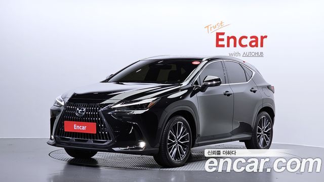 Lexus NX350h nd Gen