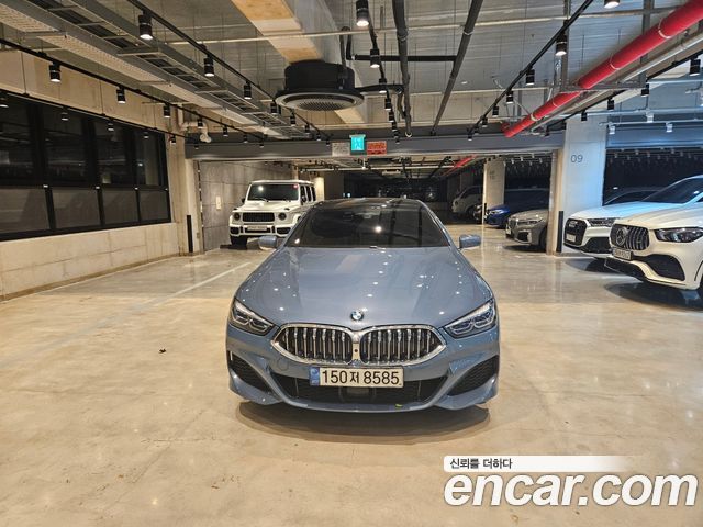 BMW 8 Series (G15)
