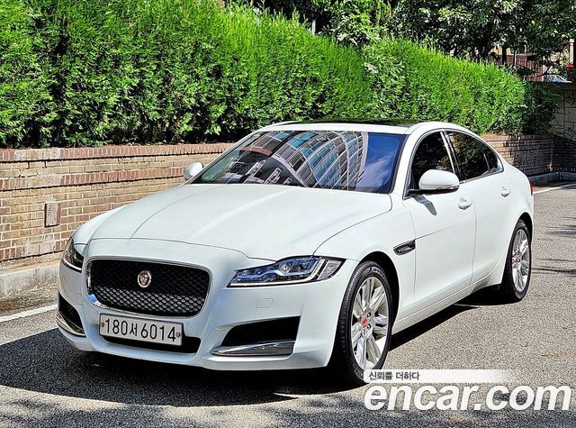 Jaguar XF (X260)