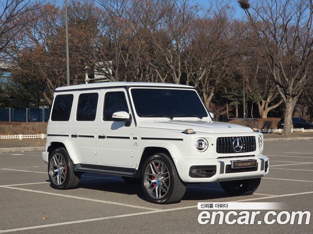 Mercedes-Benz G-Class W463b